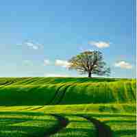 react 自​定‍义​hook